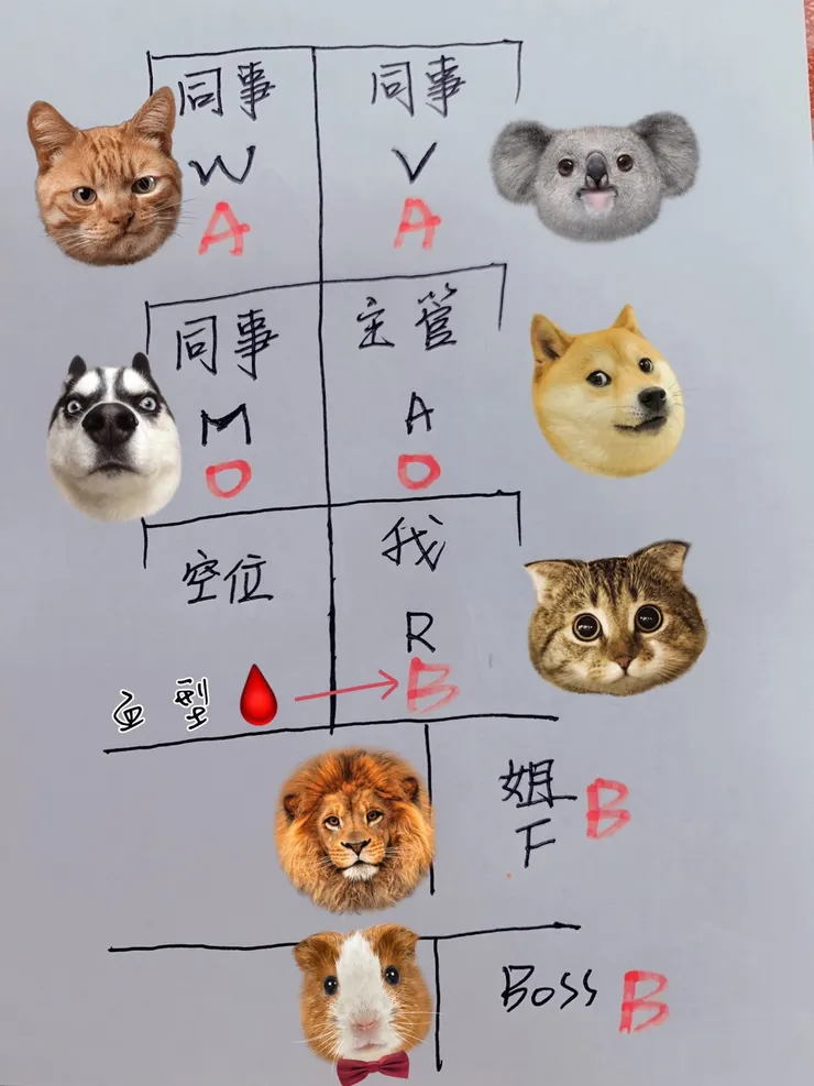 辦公室座位血型分佈圖