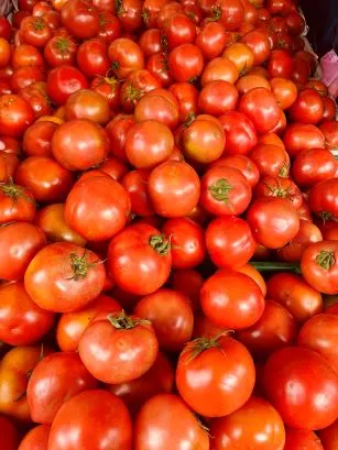 還以為等不到的鮮紅番茄