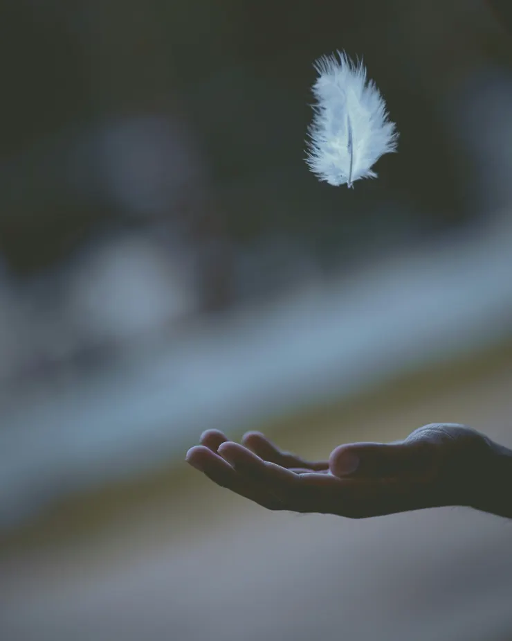 from unsplash