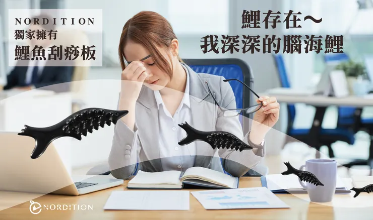 鯉存在~~~~~~~我深深的腦海鯉