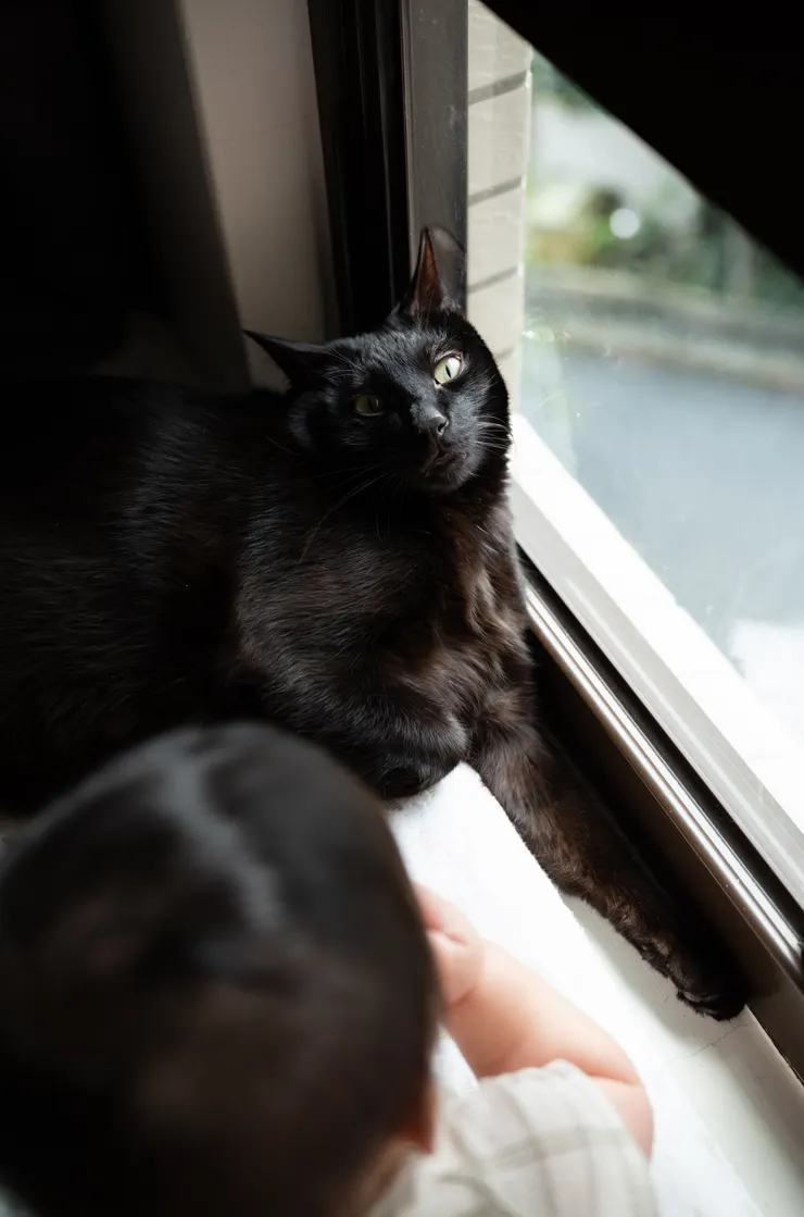 「麥擱來啊啦～」