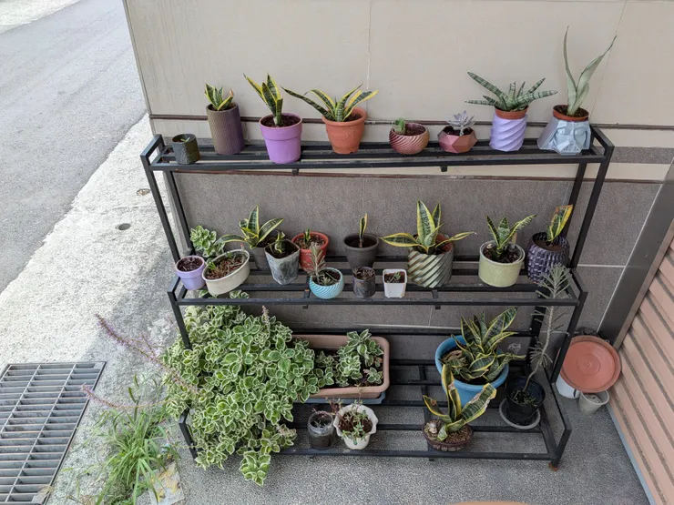 越來越多居民入住（2025/5/25攝）