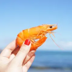 胡椒一隻蝦的沙龍