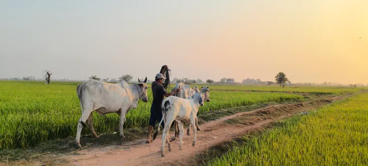 沒有特別註明都是手機拍攝