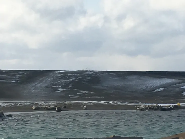 看是看到，不過有點遠。