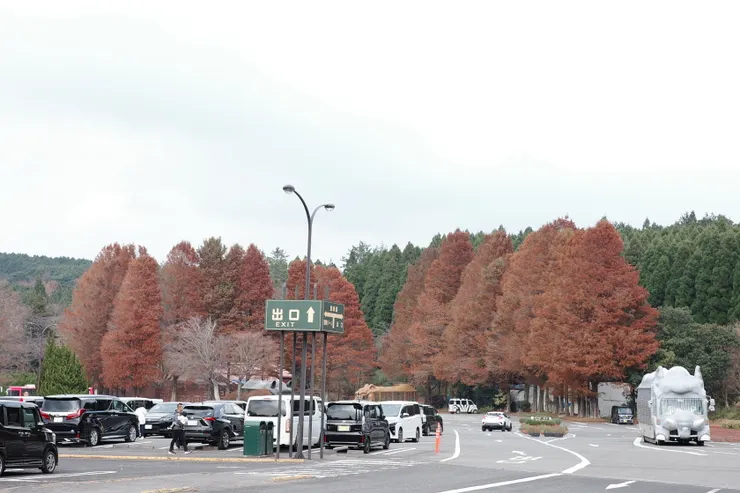 九州自然動物園真的又大又漂亮