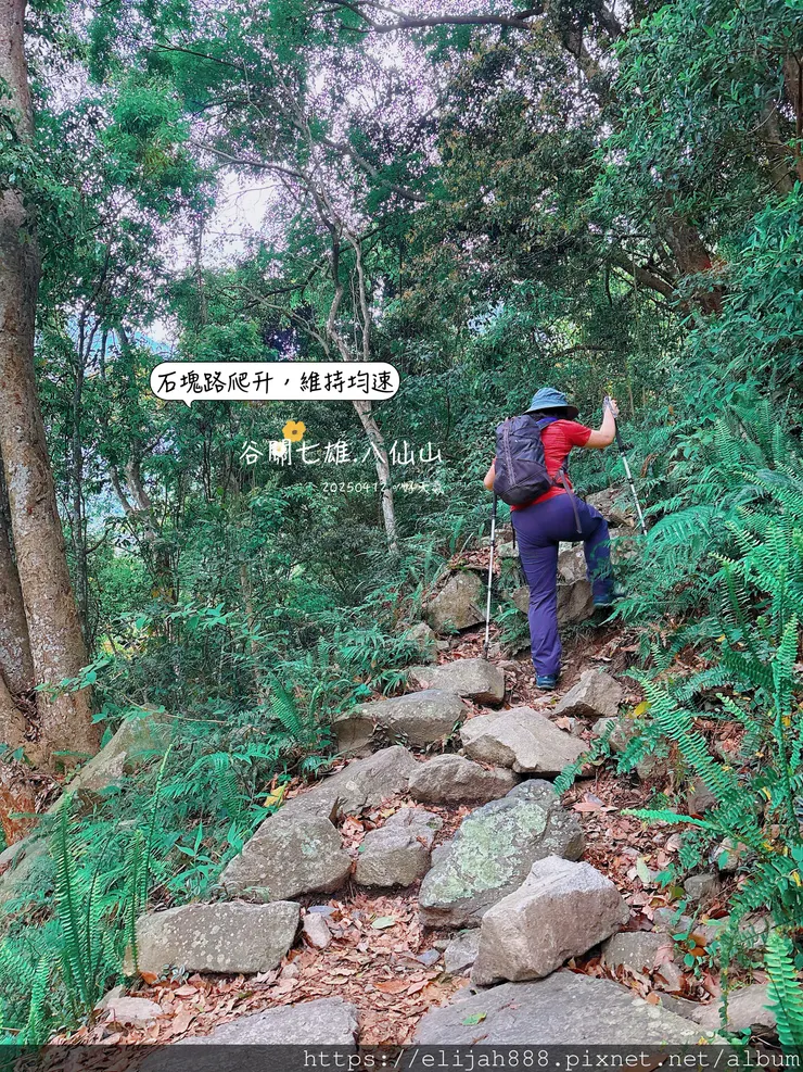 【谷關健行/住宿】谷關七雄老大。海拔2366公尺八仙山主峰。