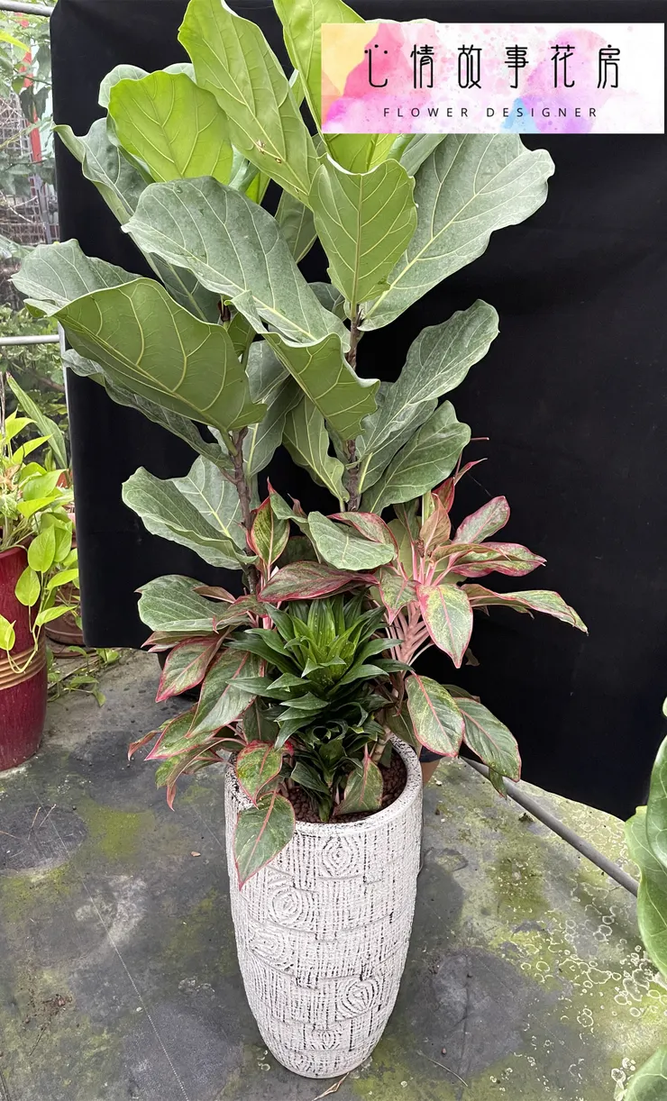 台南在地三十年｜心情故事花房提供八大多樣化花卉商品，從高雅蘭花到永生花，全方位滿足您的需求，品質保證、送達迅速