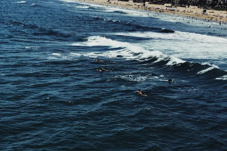 馬拉松泳渡，看起來像是像大自然挑戰的不可能任務