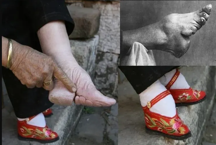 圖片網路截取，若有侵權通知下架