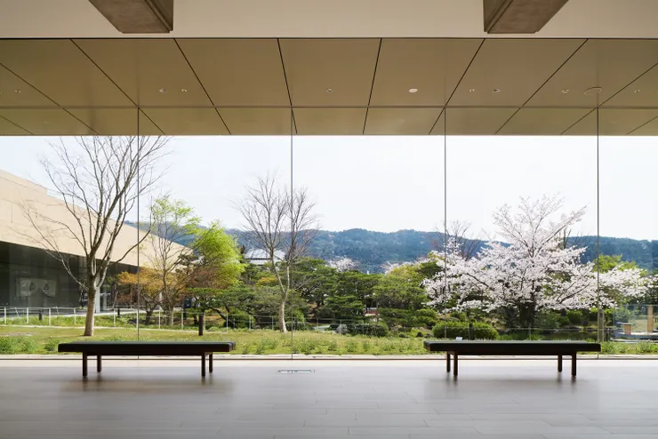 京都市京瓷美術館，由日本建築師青木淳和西澤徹夫重新設計。攝影：Daici Ano。