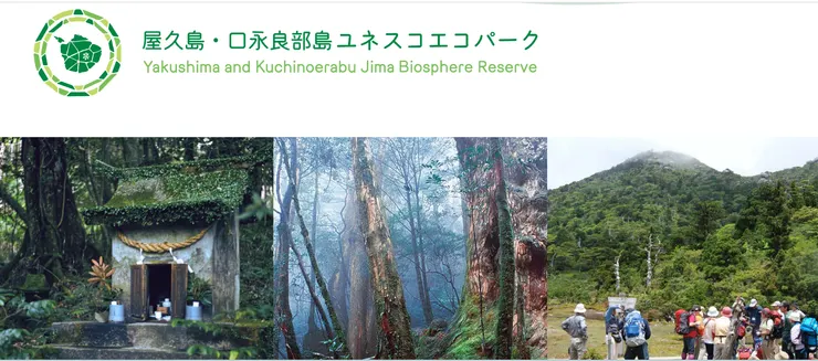 圖片來源:屋久島町官網