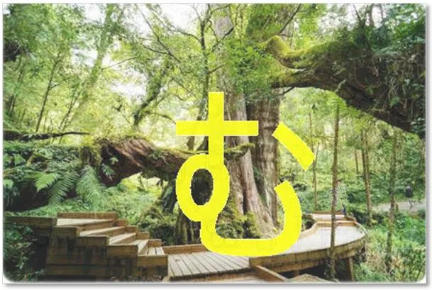 盤根錯節的神「木」→mu→「む」