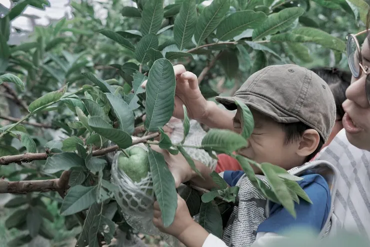 使出吃奶的力氣了怎麼還是沒有動靜？
