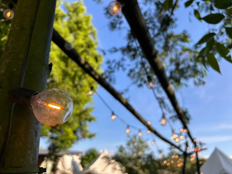 美美的佈置，不多不少