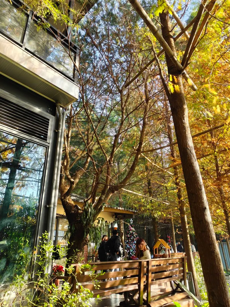 冬天的午后陽光非常美麗