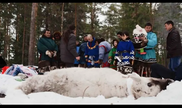 熊節儀式（文化象徵）