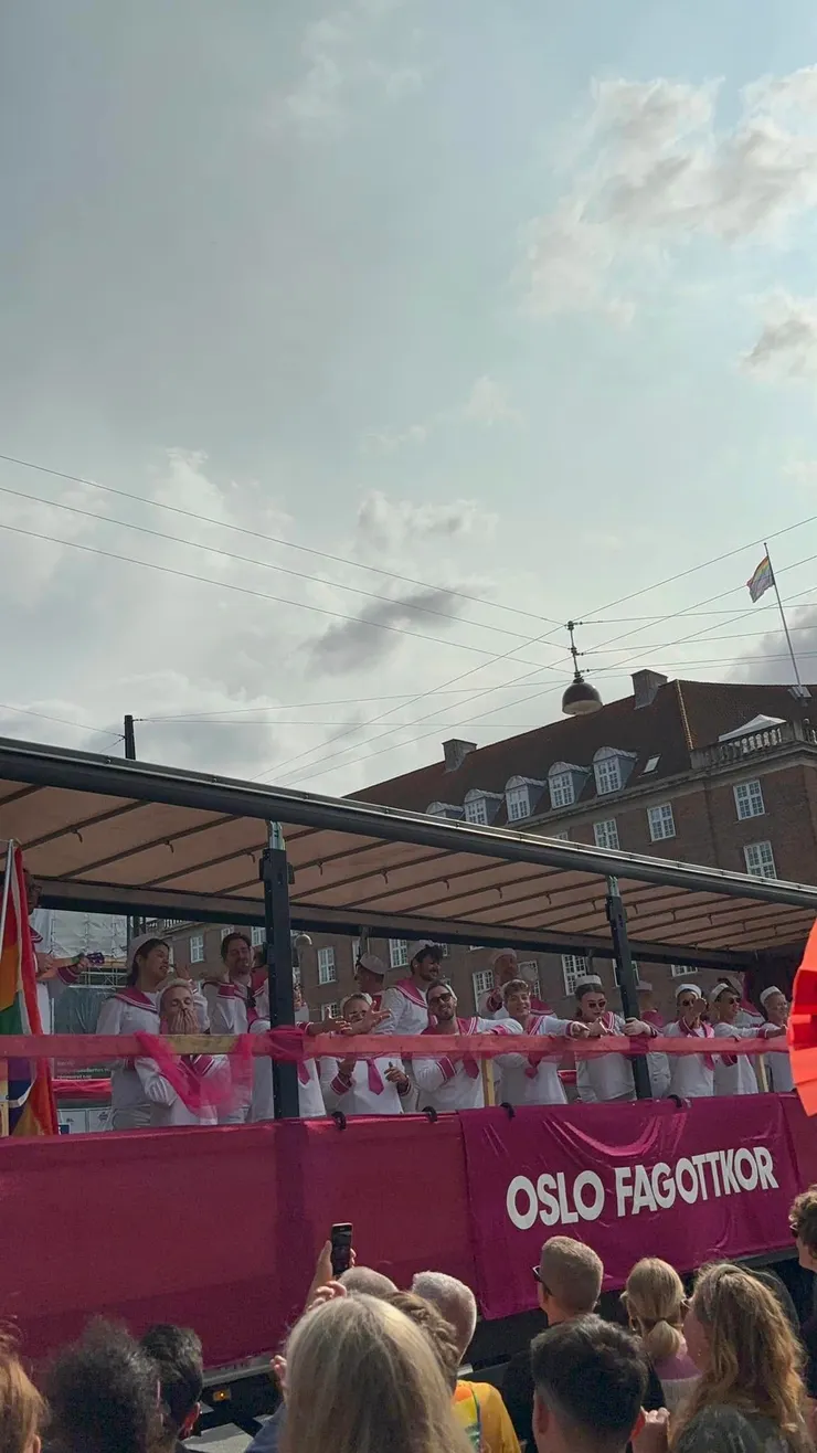 各式各樣的花車