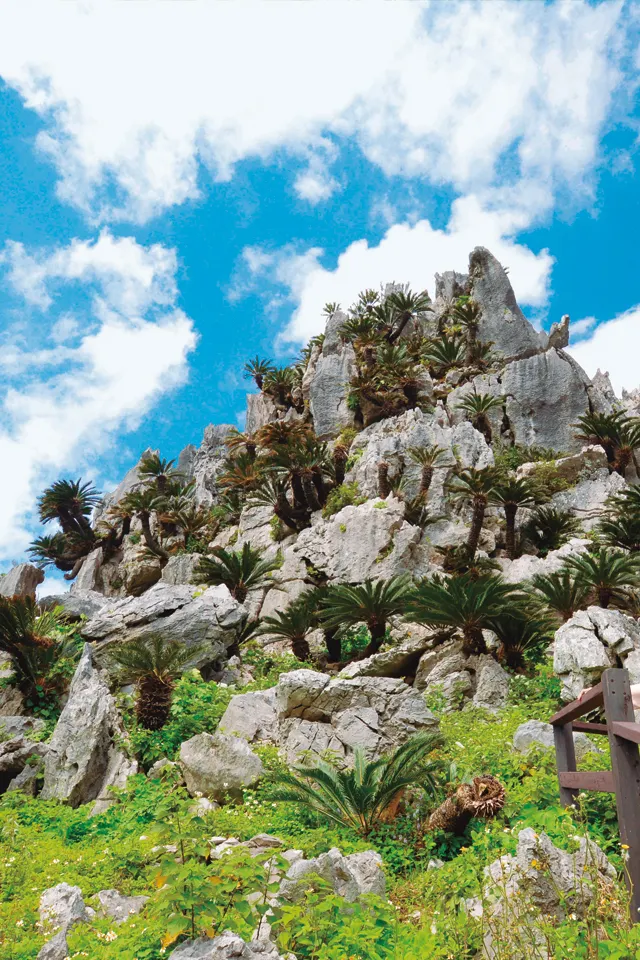 悟空岩(取自於山原國家公園大石林山官方網站)