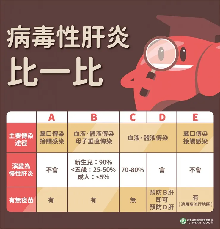 五種病毒型肝炎比較圖表