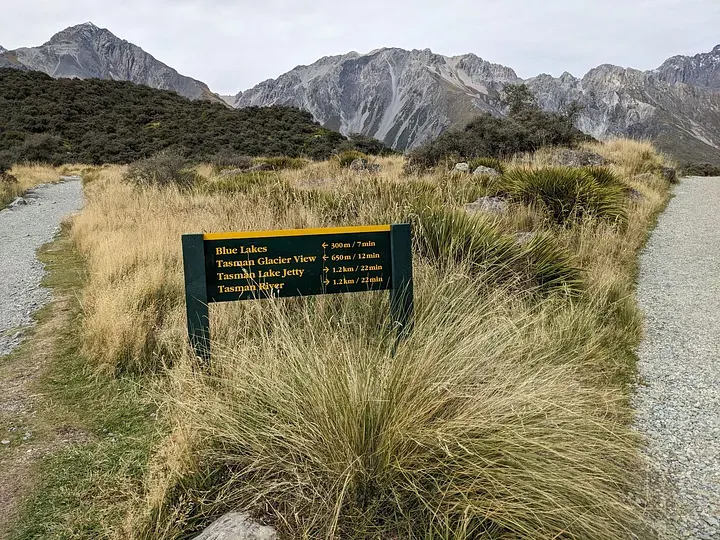 Tasman Glacier共有四條步道