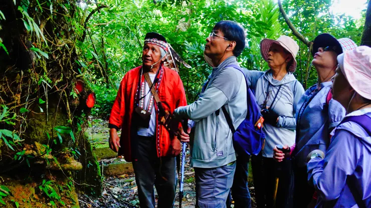 薯榔~鄒族的染料植物,其塊莖汁液呈咖啡色,也有的薯榔呈淡黃色,黃色的數量較少,顏色呈深咖啡色。