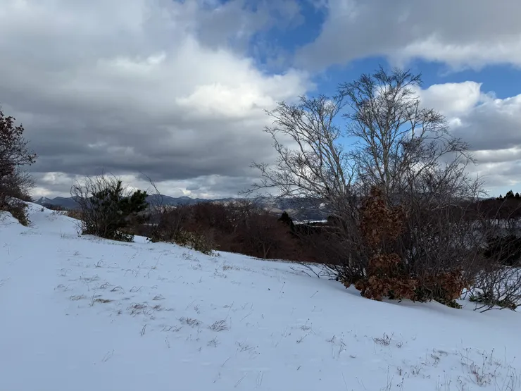 尋找勝山館…完全找不到路。