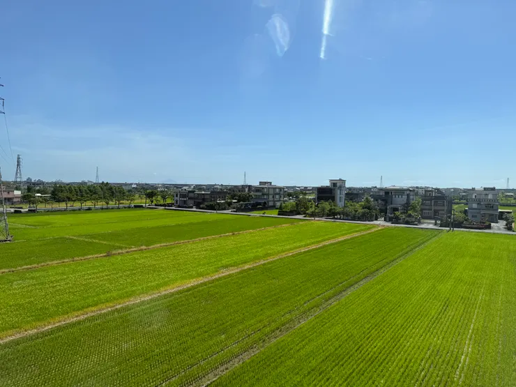 蘭陽平原的綠意