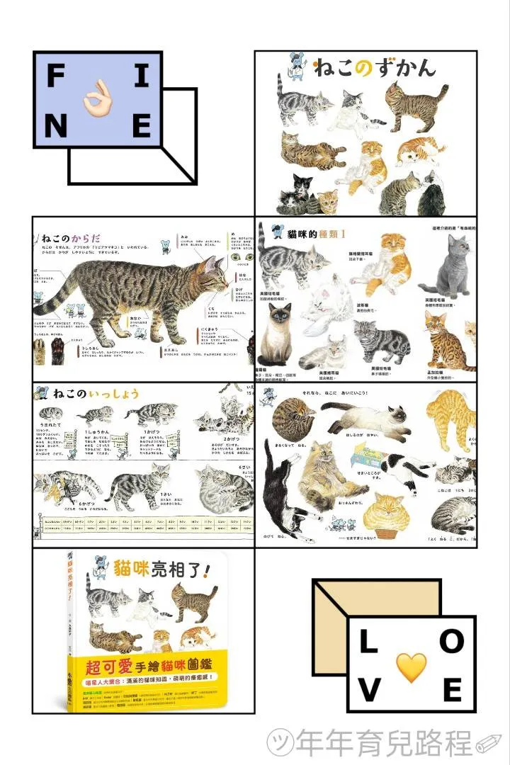大森裕子-貓咪亮相了