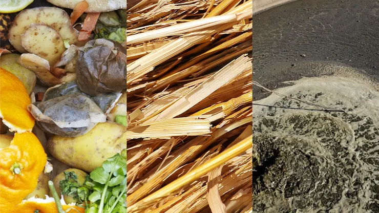 生廚餘(未烹煮過，如蔬果皮等)、農業廢棄物(如麥稈等)、動物糞肥都能供沼氣廠使用。