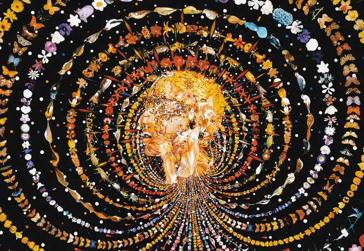 Breathing Head (2002) by Fred Tomaselli.