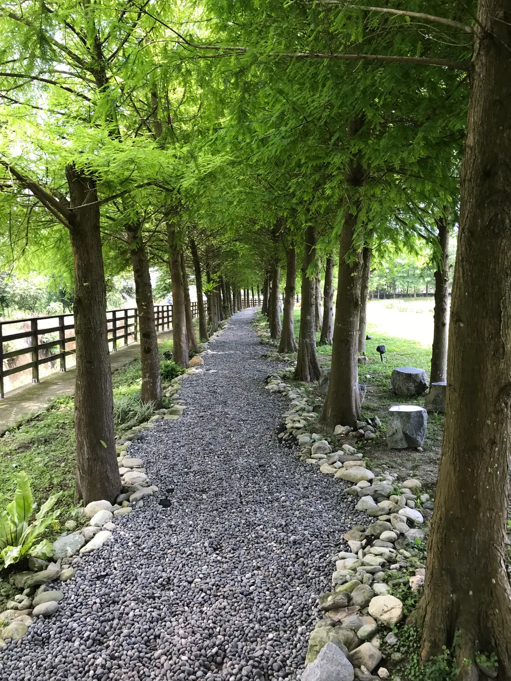 布魯斯的「故事管理學」