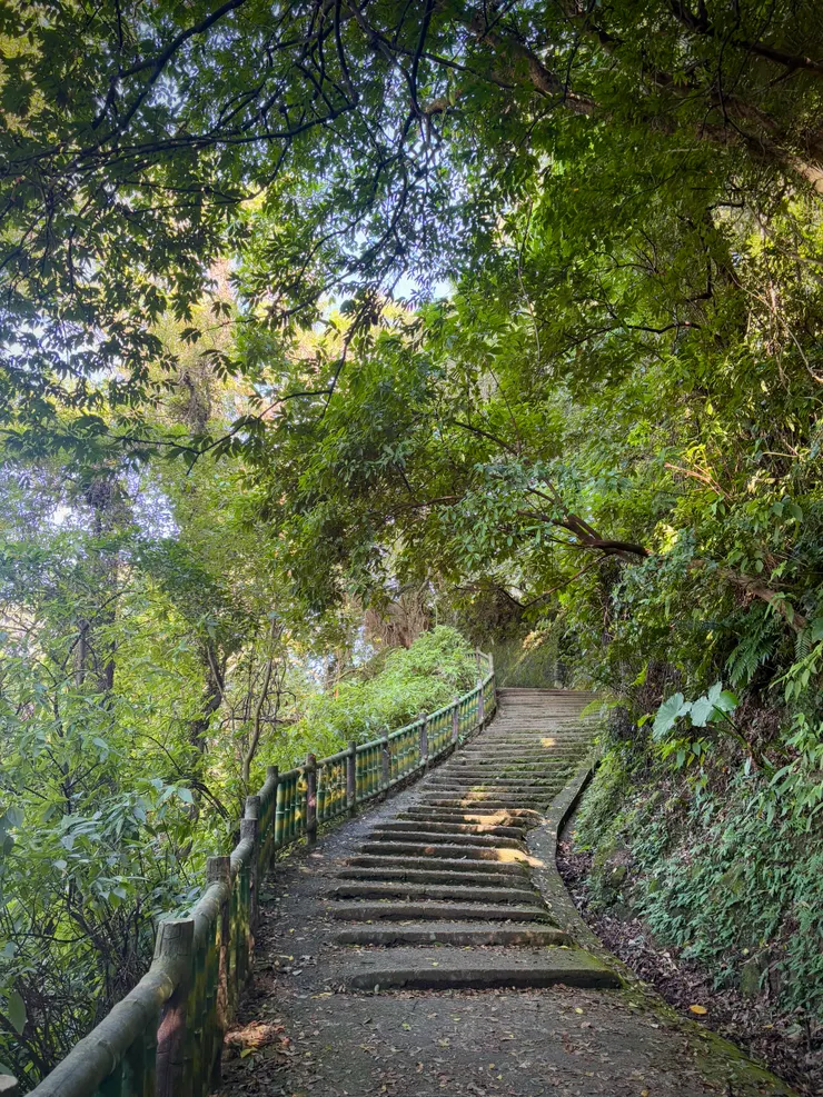 整路都在綠蔭中，不曬，但蚊子不少