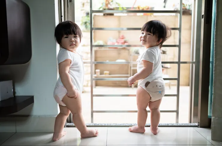 咩咩隨時就要走起來了，刺激呀！