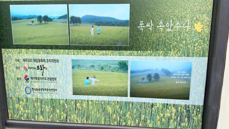 入口處有苦盡甘來遇見你劇照