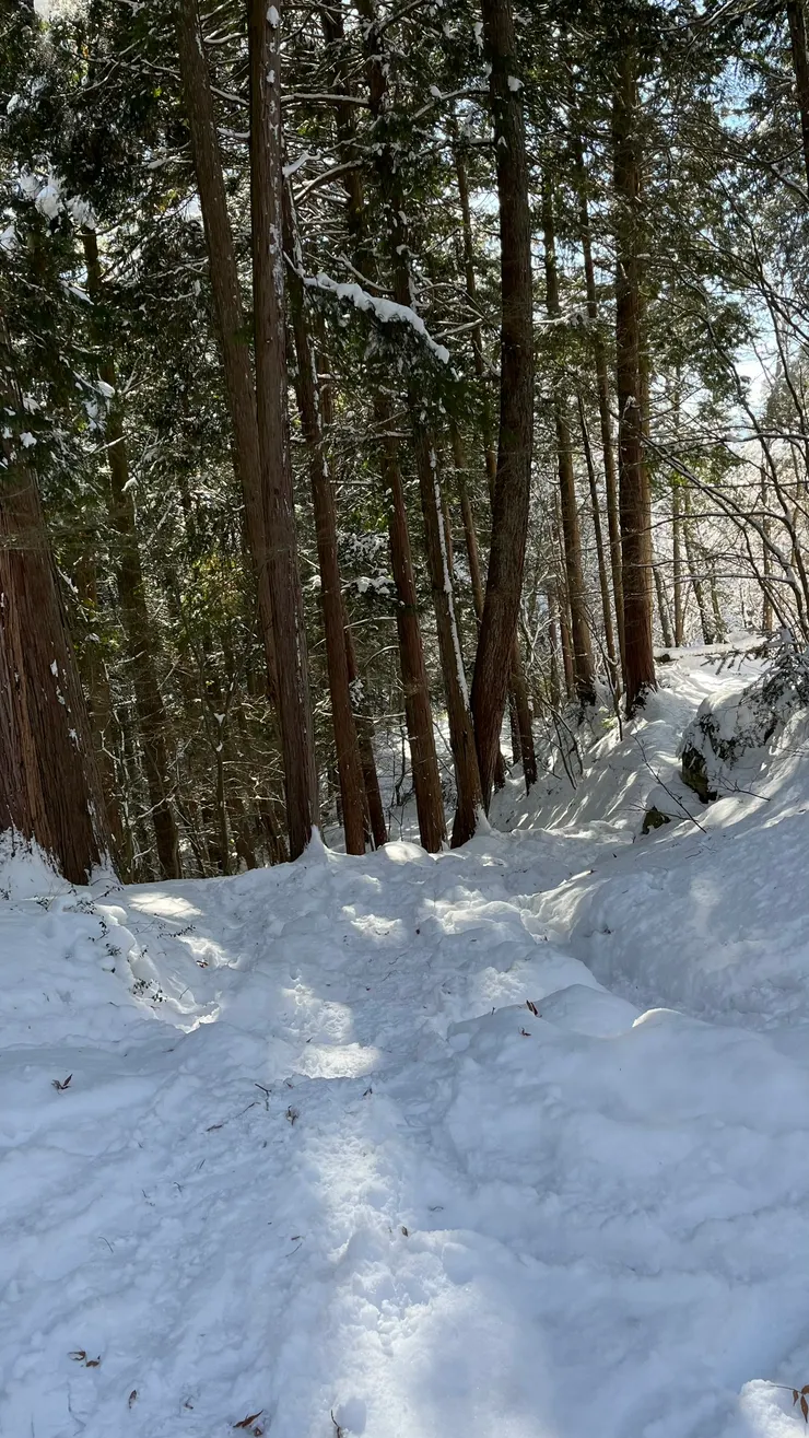尤其雪地有點滑，真的是不好走。