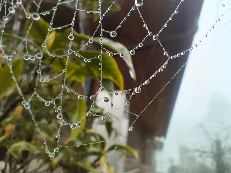 這一張水晶網做「水晶胸花」