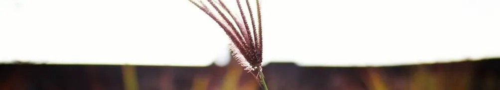 退休老杯杯的沙龍