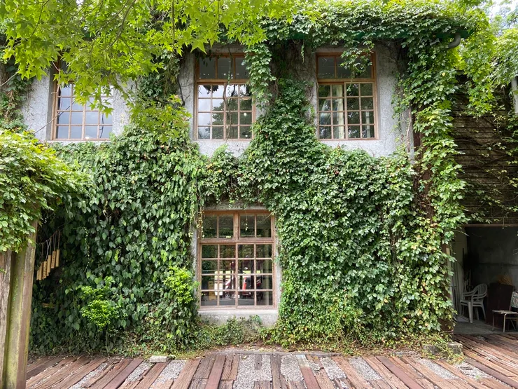 ▲ 滿是恣意的綠，思念猶如攀藤蔓延