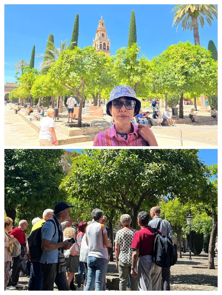 橘子園在售票處韓清真寺中間