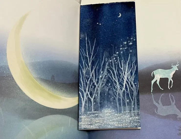 剛好日記本裡有色系相近的圖可當襯托背景