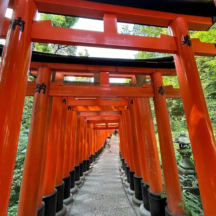 伏見稻荷大社_千本鳥居