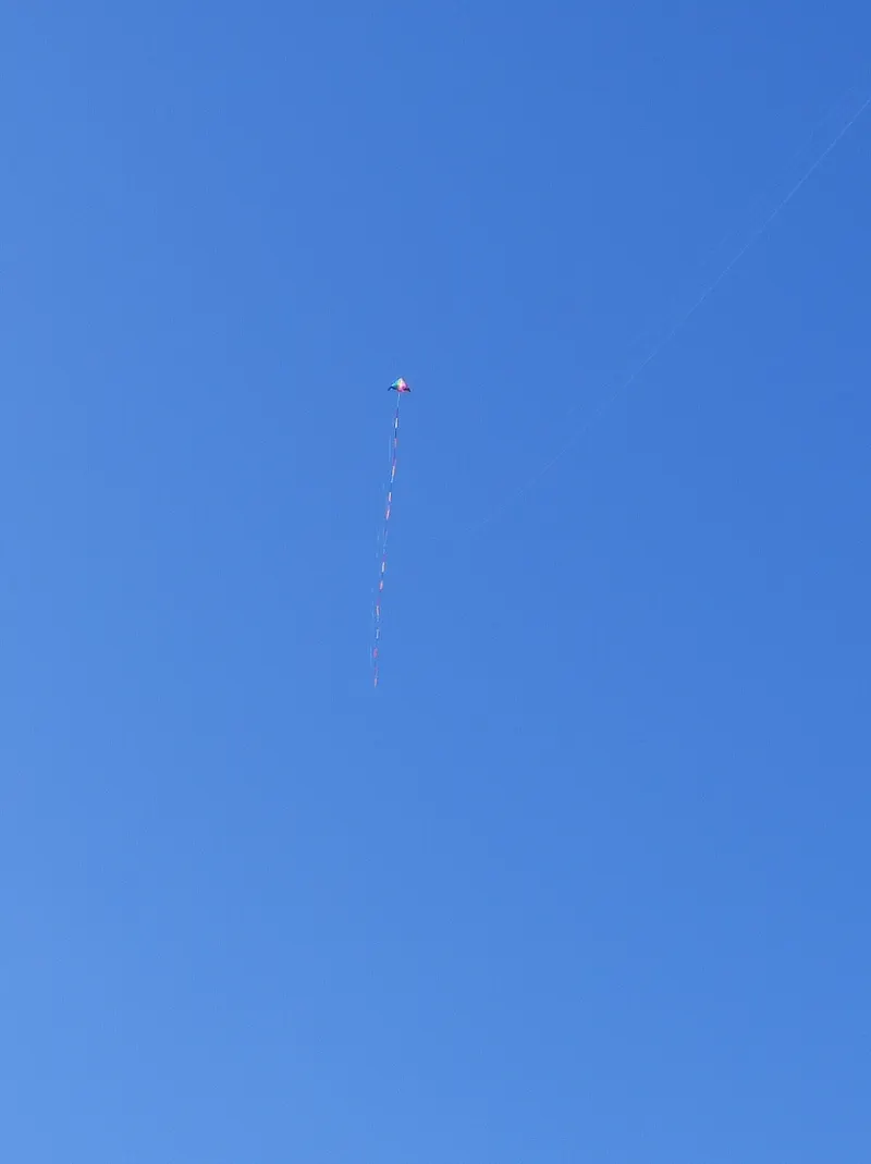 src