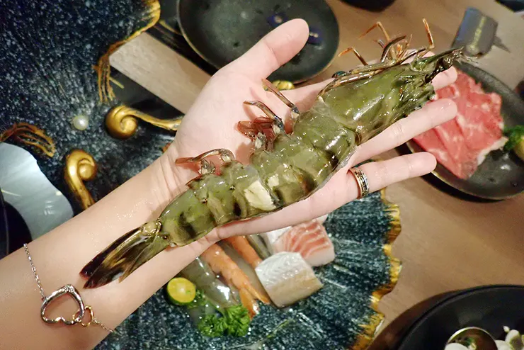 桃園蘆竹火鍋推薦│金蒔鍋物-桃園大竹總店│蘆竹美食推薦2025