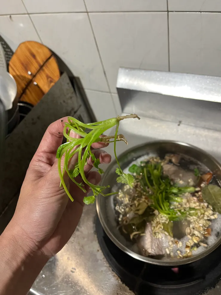 帶根香菜在處理時，洗淨後用湯匙把根部帶土的皮刮掉即可。