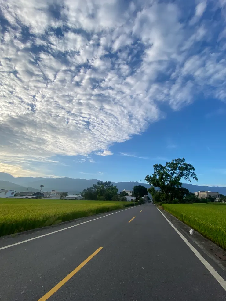 典型的池上的藍天白雲