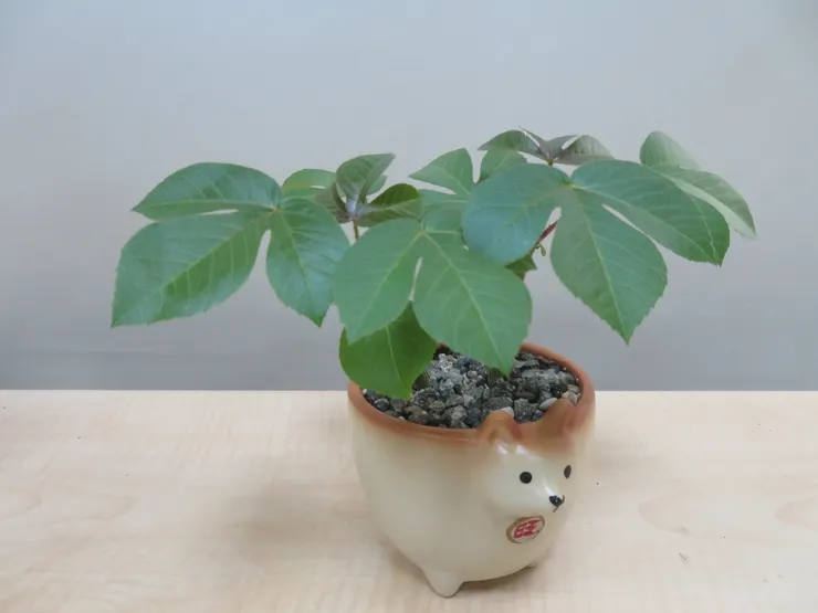 新莊農會112.04.10