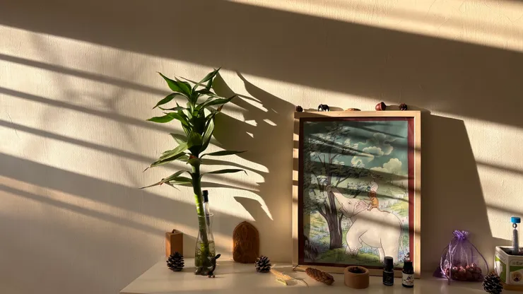 夏末午後的陽光一景