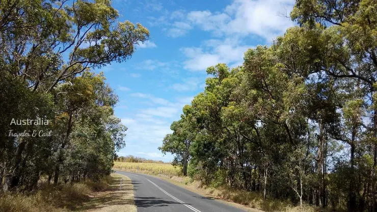 通往農場的路，澳洲的道路車輛稀少
