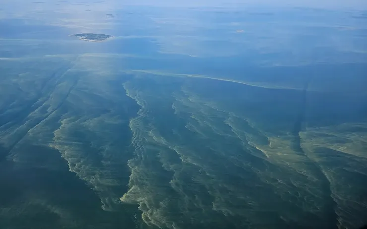 大量的藍綠藻!圖片來源:Gränsbevakningsväsendet